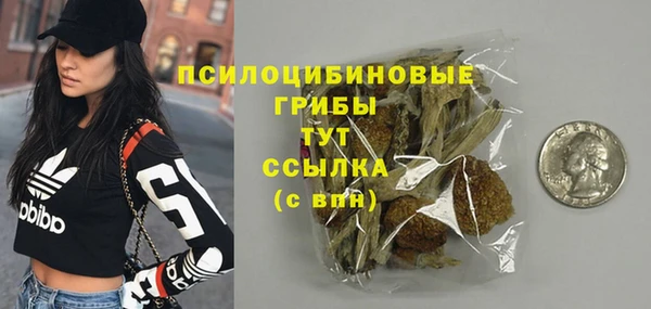 круглые Алзамай