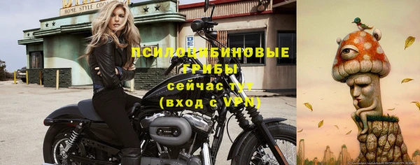синтетический гашиш Алексин
