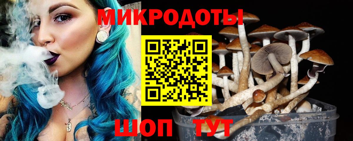 Псилоцибиновые грибы мицелий  Псилоцибиновые грибы мицелий  Камышин  что такое наркотик  Вход с VPN 